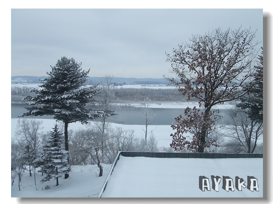 【北海道】DAY4~洗溫泉/慶祝阿嬤88大壽/吃咖哩/買美妝/日雜 - 第24張圖 下一張(熱鍵:c)