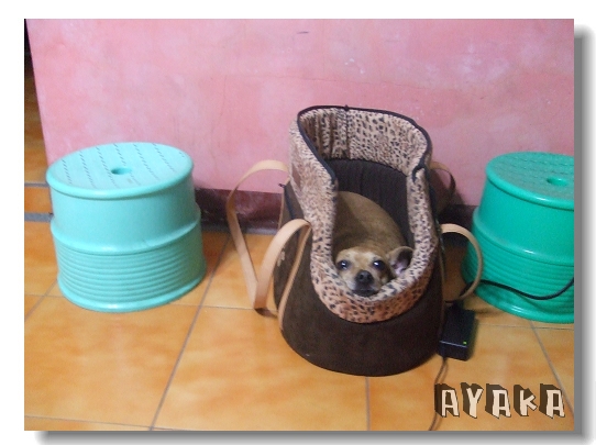 【日記】1月下~我回來囉~ - 第21張圖 下一張(熱鍵:c)