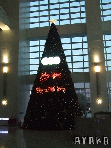 【日記】12月下~戴德美好貴@_@/雪倫,妳的拍照技巧吼 - 第24張圖 下一張(熱鍵:c)