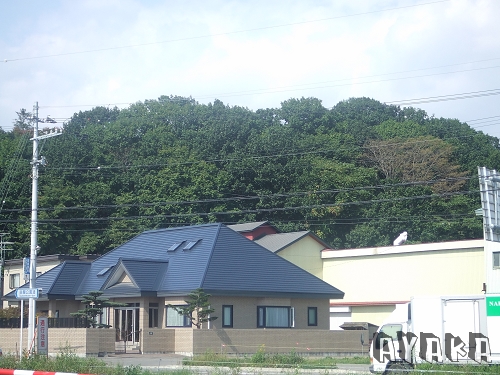 【北海道】DAY3~外公農場/吃壽司/和一些藥妝戰利品 - 第13張圖 下一張(熱鍵:c)