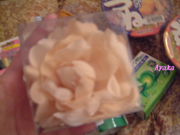 【沖繩行】番外篇…世界に一つだけの花 - 第1張圖 下一張(熱鍵:c)