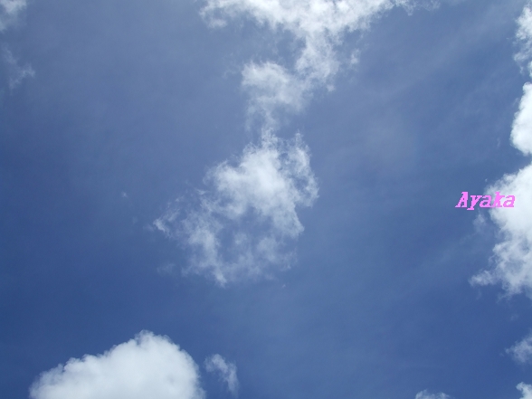 【沖縄】青空~あおぞら~(新增第一天遊記和jessie四日遊分享) - 第4張圖 下一張(熱鍵:c)