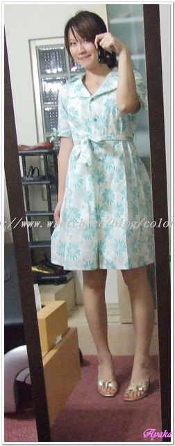 【服裝】AK的衣櫃~彩色人生洋裝篇 - 第18張圖 下一張(熱鍵:c)