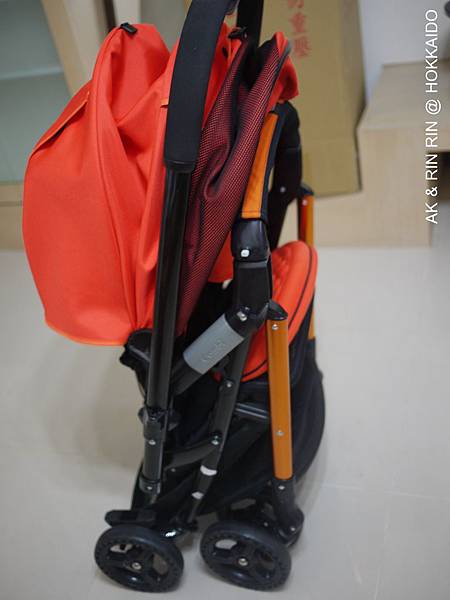 P1580880.JPG P1580880.JPG