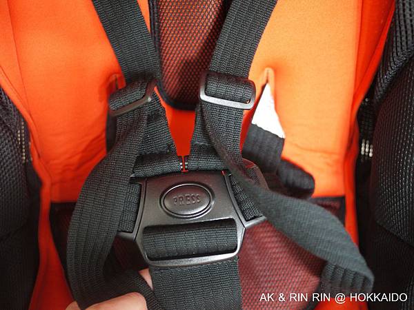 P1580902.JPG P1580902.JPG