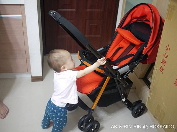 P1580907.JPG P1580907.JPG