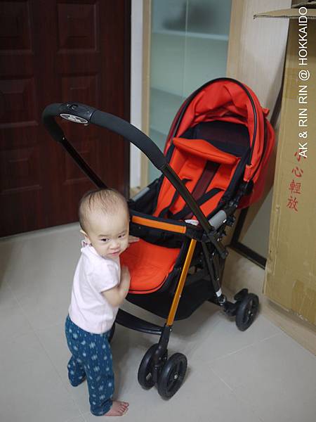 P1580910.JPG P1580910.JPG