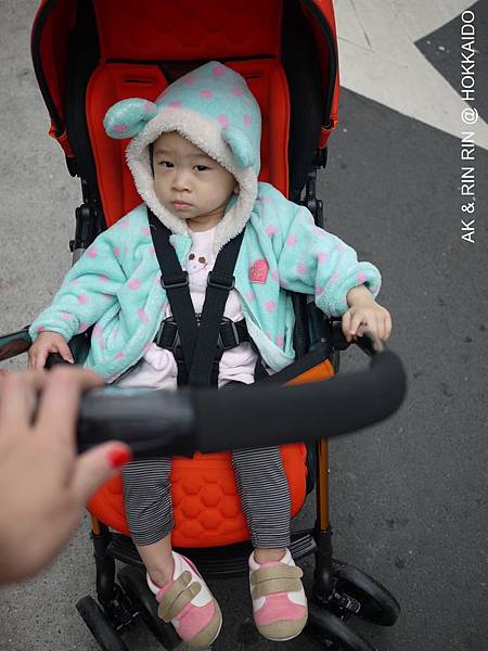 P1590043.JPG P1590043.JPG