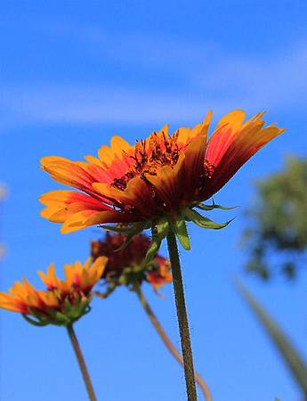 IMG_6840.jpg IMG_6840.jpg