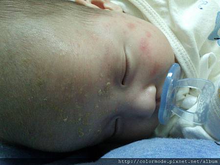 C360_2012-11-27-15-30-39