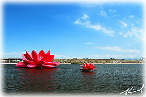 會呼吸的花（Breathing Flower）(小)、謝謝（Thank you） (大)