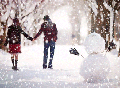 2008120900513216.gif