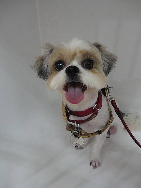 102.06.04coffee大修+打預防針