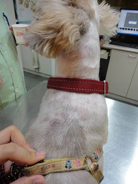 102.06.04coffee大修+打預防針