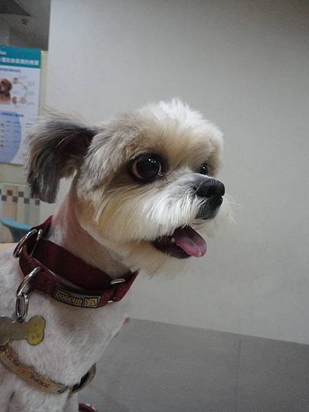 102.06.04coffee大修+打預防針