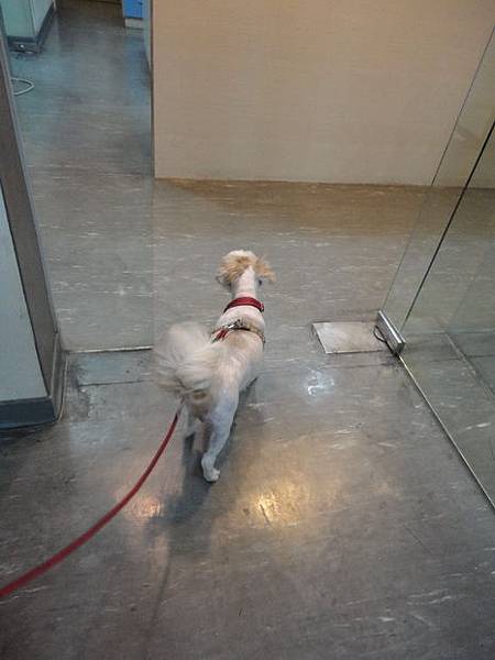 102.06.04coffee大修+打預防針