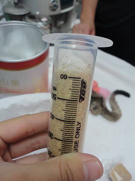 DSC04610.jpg DSC04610.jpg