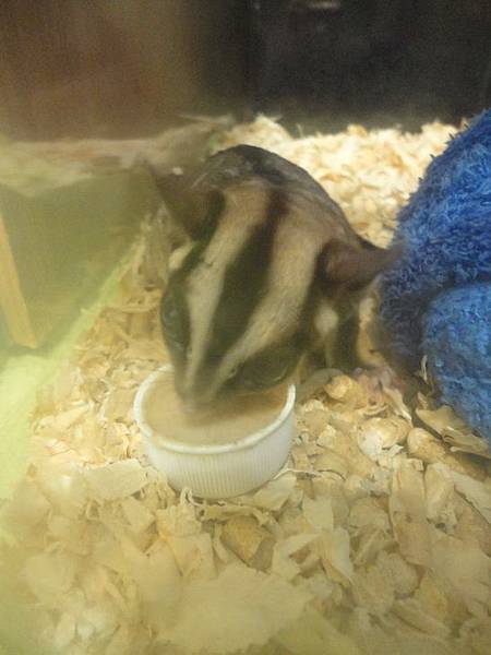 DSC04656.jpg DSC04656.jpg