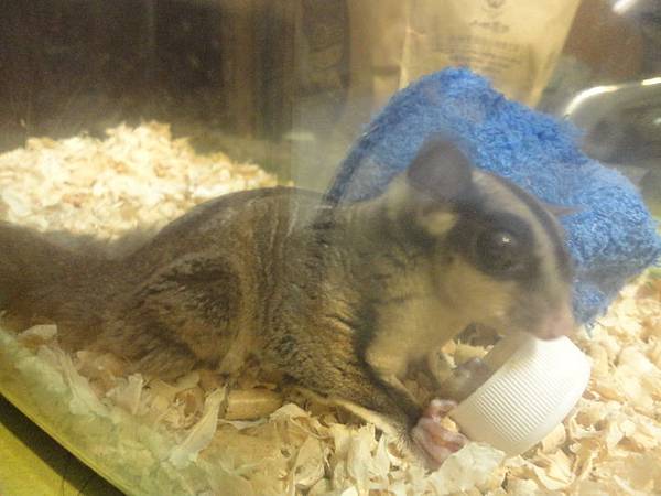 DSC04663.JPG DSC04663.JPG