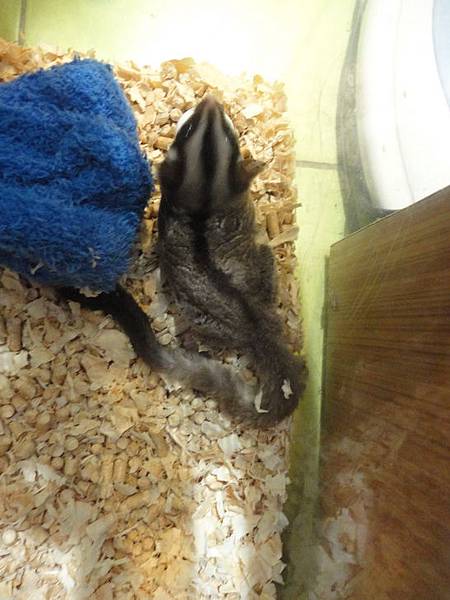 DSC04664.jpg DSC04664.jpg