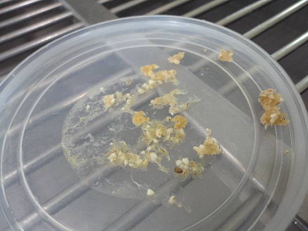 DSC04667.JPG DSC04667.JPG