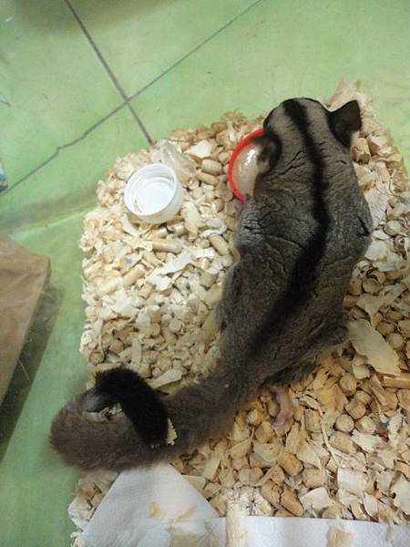 DSC04698.jpg DSC04698.jpg