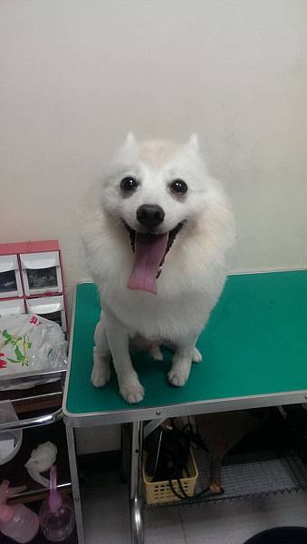 2013-11-22 18.31.56.jpg 2013-11-22 18.31.56.jpg