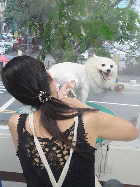 102.11.22瓜瓜嚕毛 102.11.22瓜瓜嚕毛