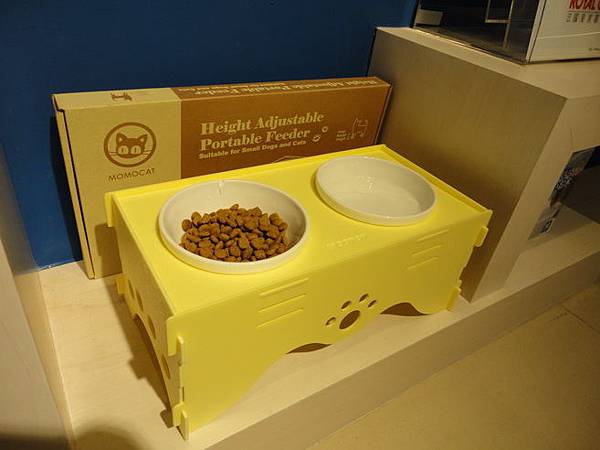 102.12.29貓診間開幕 102.12.29貓診間開幕