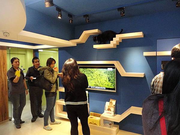 102.12.29貓診間開幕 102.12.29貓診間開幕