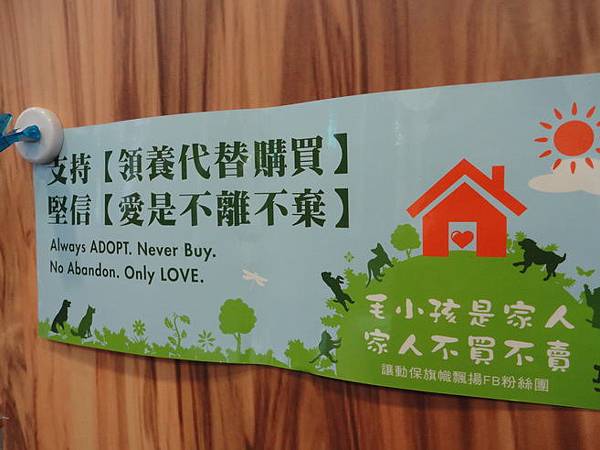 102.12.29貓診間開幕 102.12.29貓診間開幕