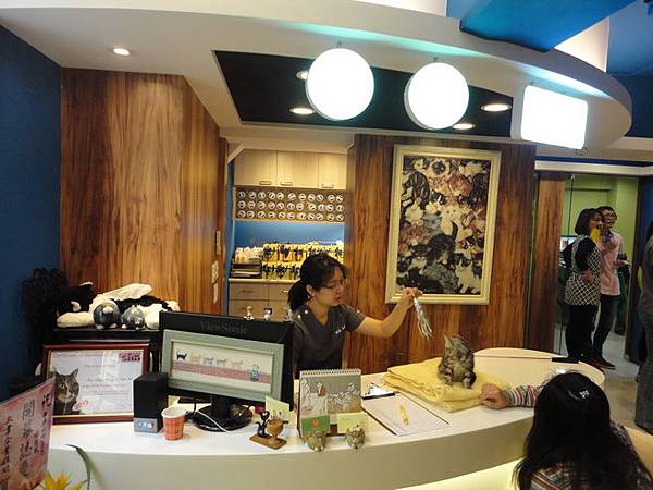 102.12.29貓診間開幕 102.12.29貓診間開幕