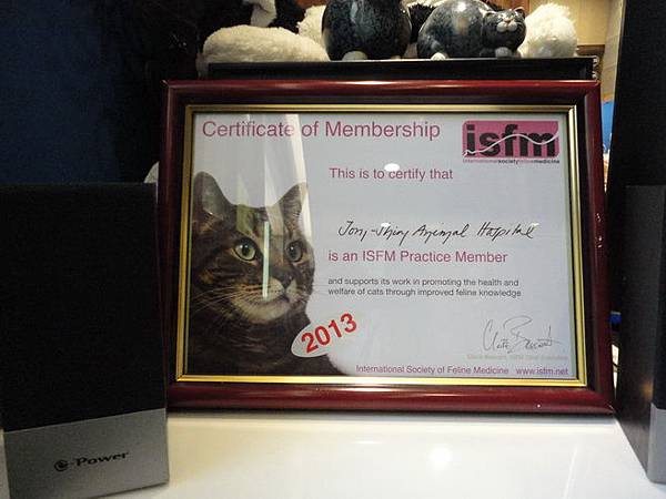 102.12.29貓診間開幕 102.12.29貓診間開幕