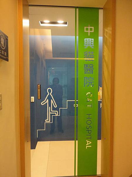 102.12.29貓診間開幕 102.12.29貓診間開幕