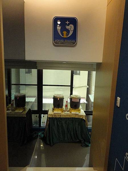 102.12.29貓診間開幕 102.12.29貓診間開幕