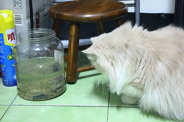 102.04.18茉莉看蝦蝦 102.04.18茉莉看蝦蝦