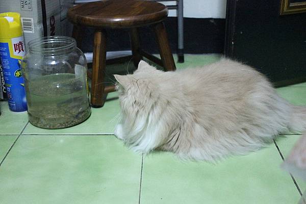 102.04.18茉莉看蝦蝦 102.04.18茉莉看蝦蝦