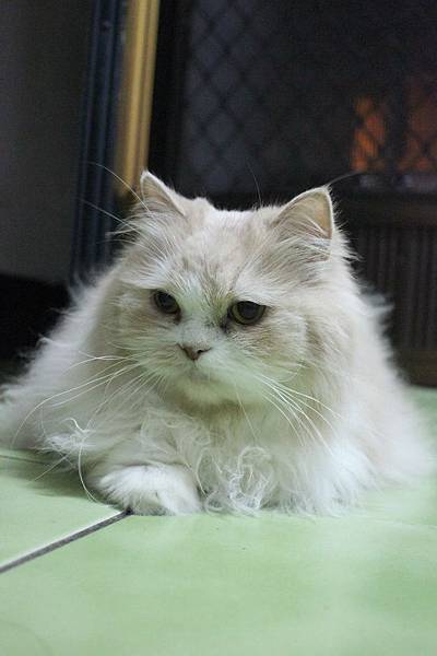 102.04.18茉莉看蝦蝦 102.04.18茉莉看蝦蝦