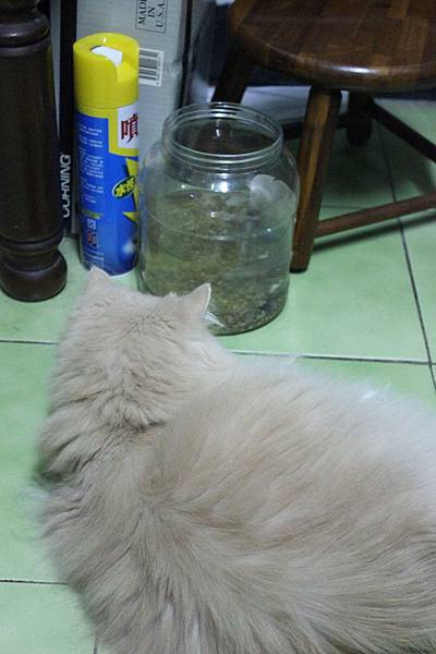 102.04.18茉莉看蝦蝦 102.04.18茉莉看蝦蝦