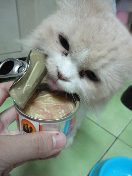 101.08.27唯美味-美味伸展台