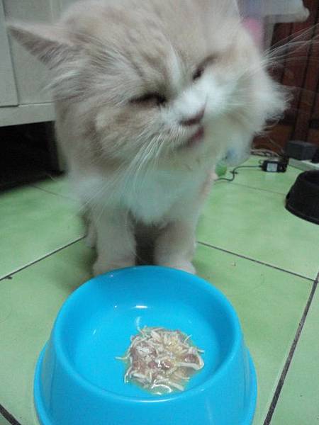 101.08.27唯美味-美味伸展台