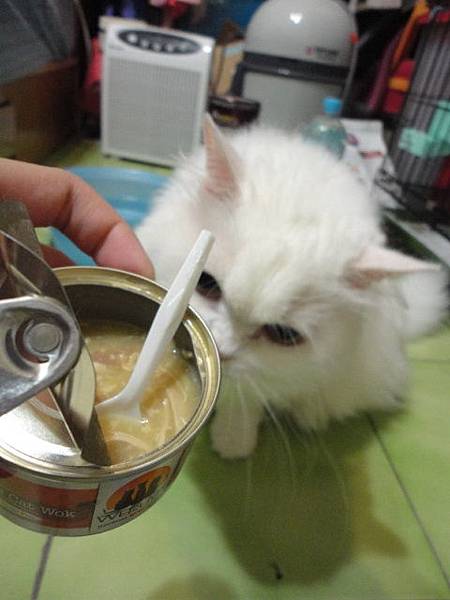 101.08.27唯美味-美味伸展台