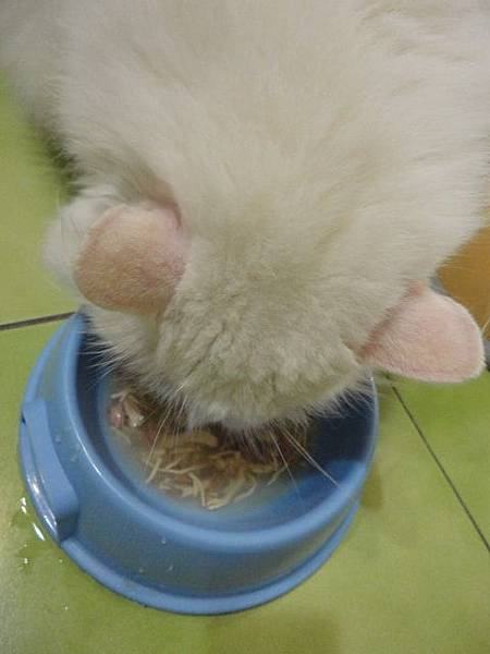 101.08.27唯美味-美味伸展台