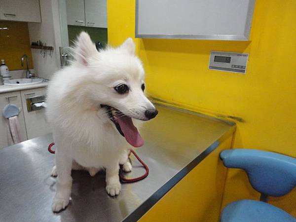 103.04.30瓜落賽 103.04.30瓜落賽