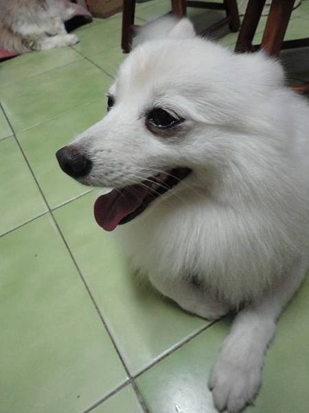 103.04.30瓜落賽 103.04.30瓜落賽