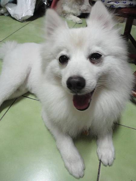 103.04.30瓜落賽 103.04.30瓜落賽