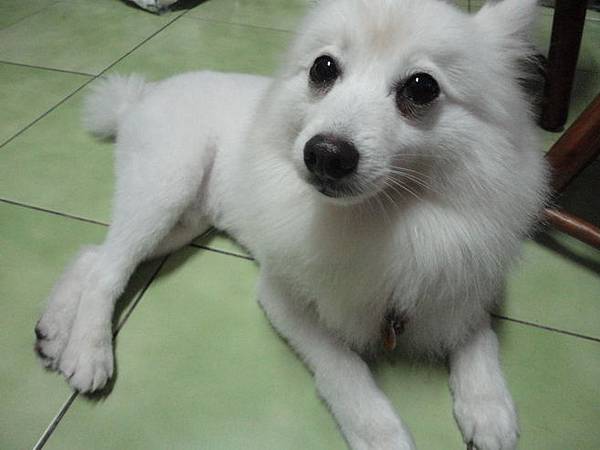 103.04.30瓜落賽 103.04.30瓜落賽