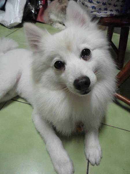 103.04.30瓜落賽 103.04.30瓜落賽