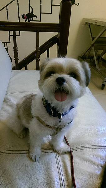 104.01.15coffee第二次點眼睛液態氮