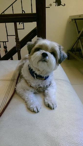 104.01.15coffee第二次點眼睛液態氮